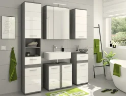 Waschbeckenunterschrank ASSELA